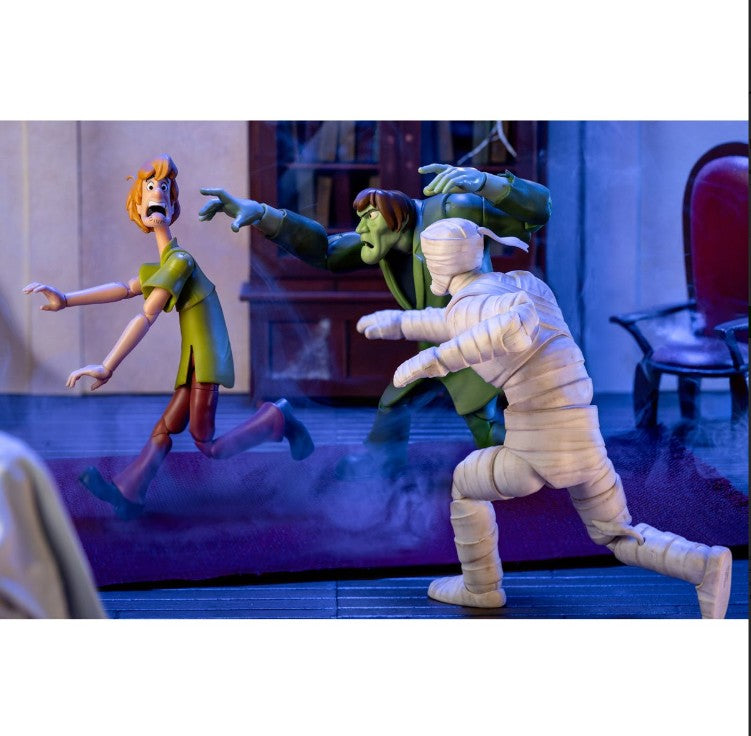 Scooby-Doo, Shaggy 1:12 Scale Action Figure