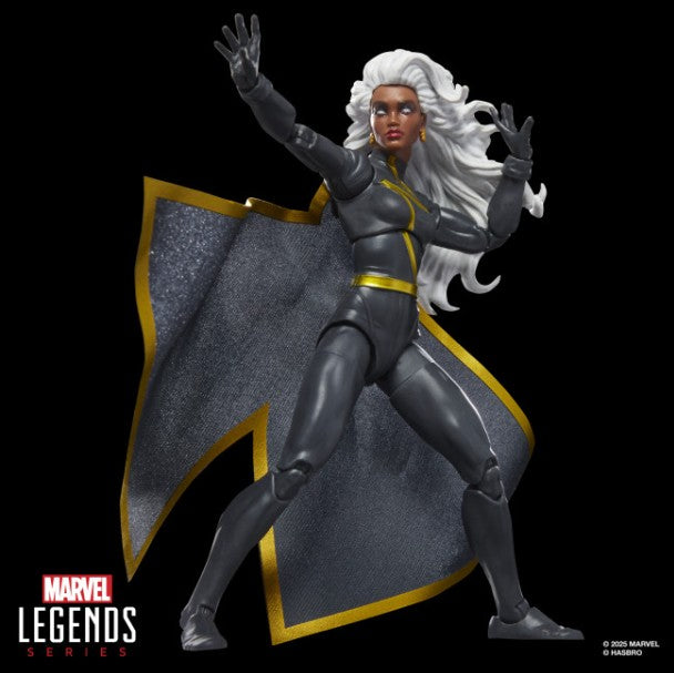 PRE-ORDER for Nov 25 - Marvel Legends Series Storm