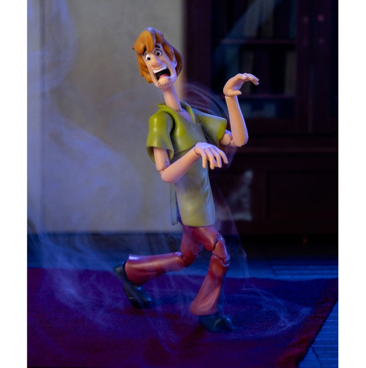 Scooby-Doo, Shaggy 1:12 Scale Action Figure