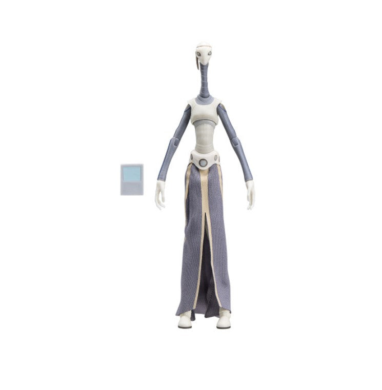 PRE-ORDER for May 2026 - Star Wars The Black Series Taun We Action Figure